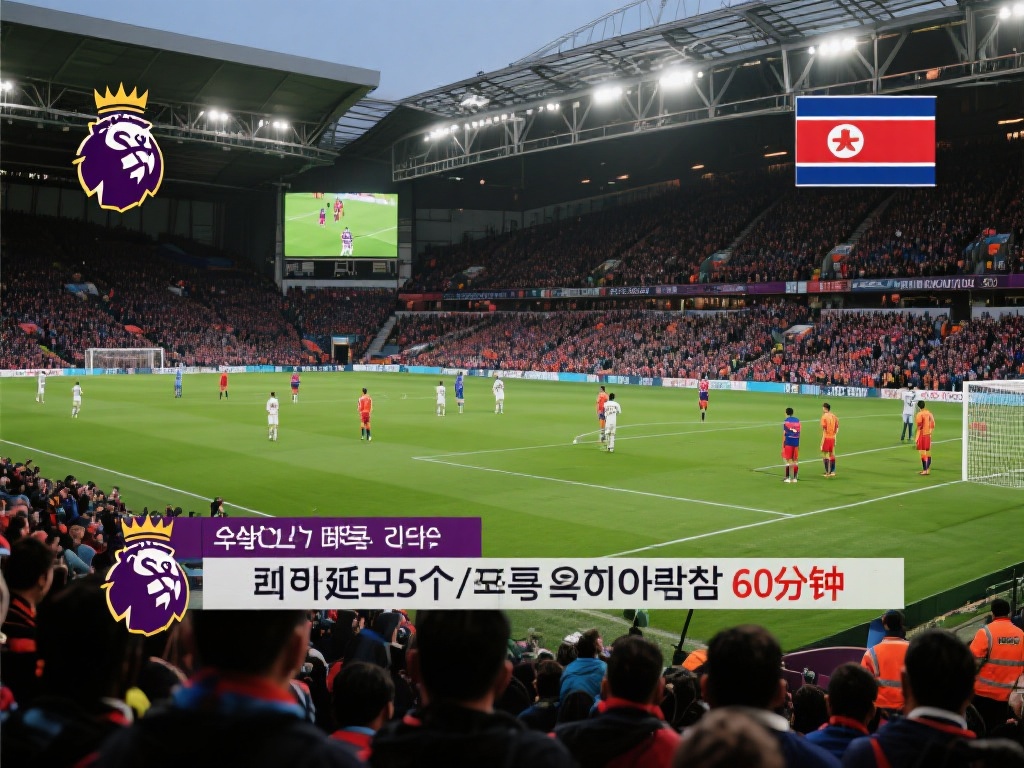 己的项目 己的项目